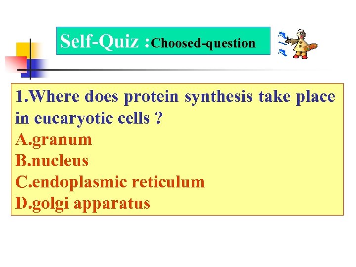 Self-Quiz : Choosed-question 1. Where does protein synthesis take place in eucaryotic cells ?