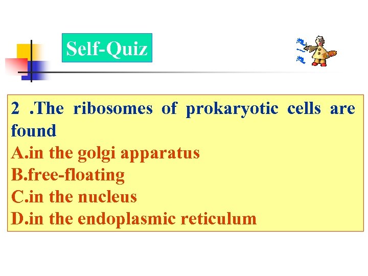 Self-Quiz 2 . The ribosomes of prokaryotic cells are found A. in the golgi