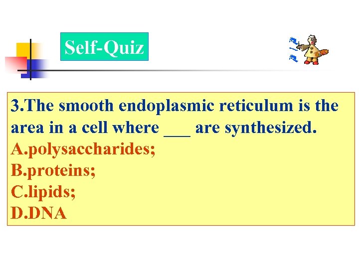 Self-Quiz 3. The smooth endoplasmic reticulum is the area in a cell where ___