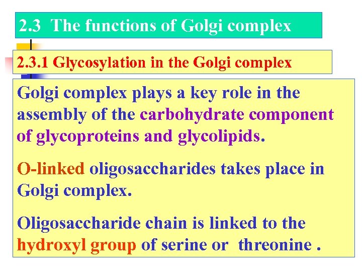 2. 3 The functions of Golgi complex 2. 3. 1 Glycosylation in the Golgi