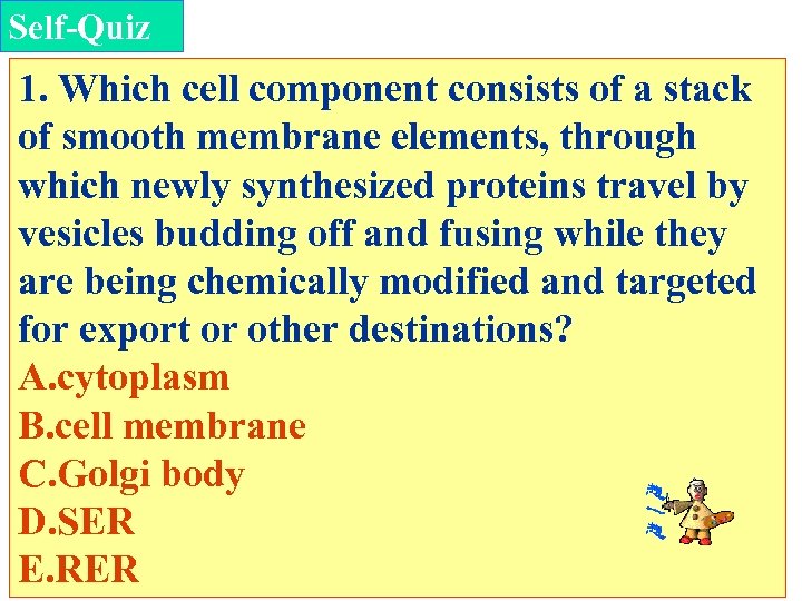 Self-Quiz 1. Which cell component consists of a stack of smooth membrane elements, through