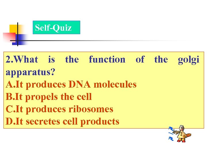 Self-Quiz 2. What is the function of the golgi apparatus? A. It produces DNA