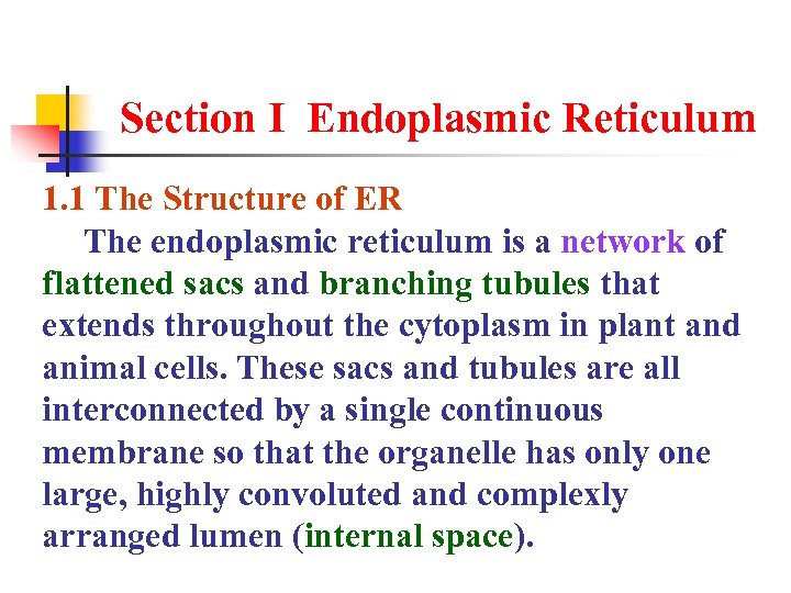 Section I Endoplasmic Reticulum 1. 1 The Structure of ER The endoplasmic reticulum is