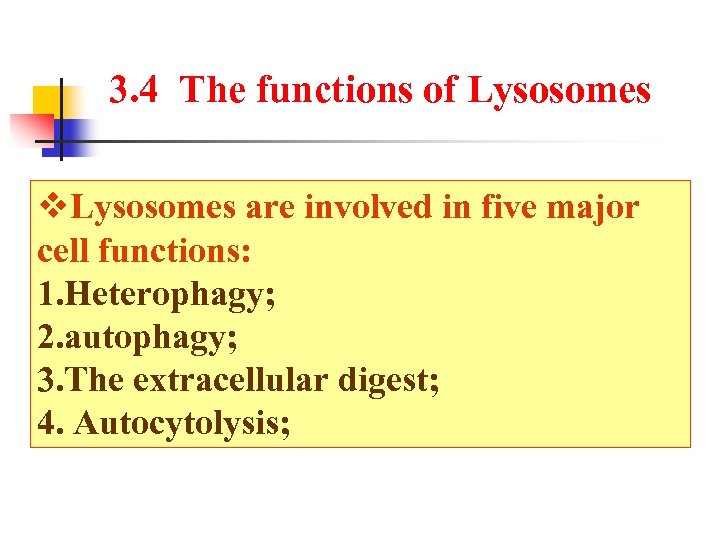 3. 4 The functions of Lysosomes are involved in five major cell functions: D.