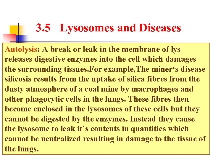 3. 5 Lysosomes and Diseases Autolysis: A break or leak in the membrane of