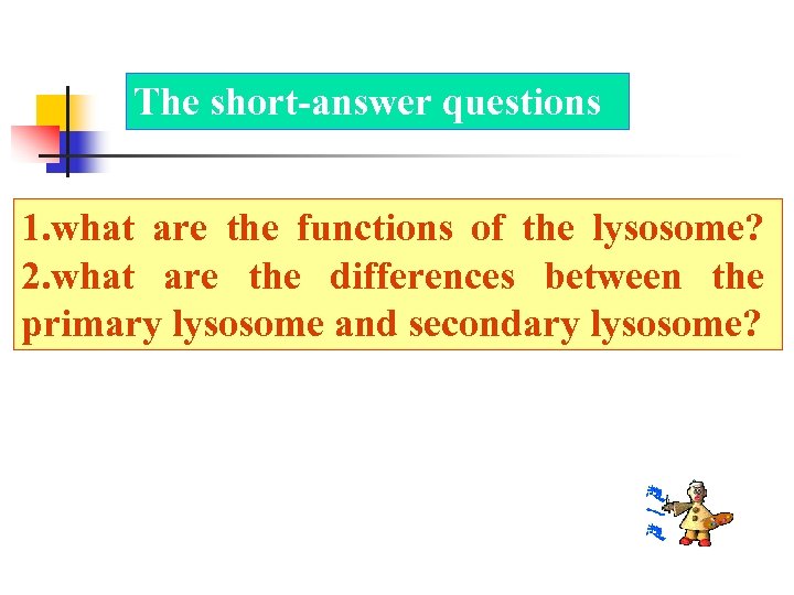 The short-answer questions 1. what are the functions of the lysosome? 2. what are