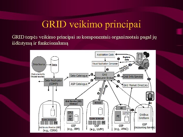 GRID veikimo principai GRID terpės veikimo principai su komponentais organizuotais pagal jų išdėstymą ir