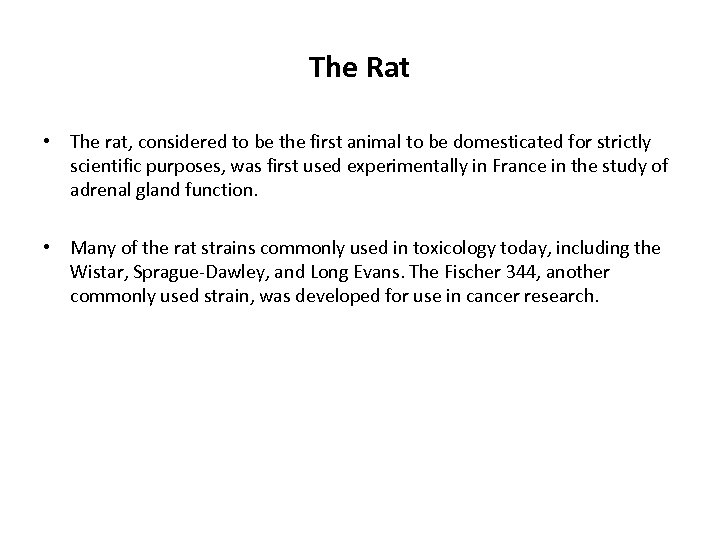 The Rat • The rat, considered to be the first animal to be domesticated