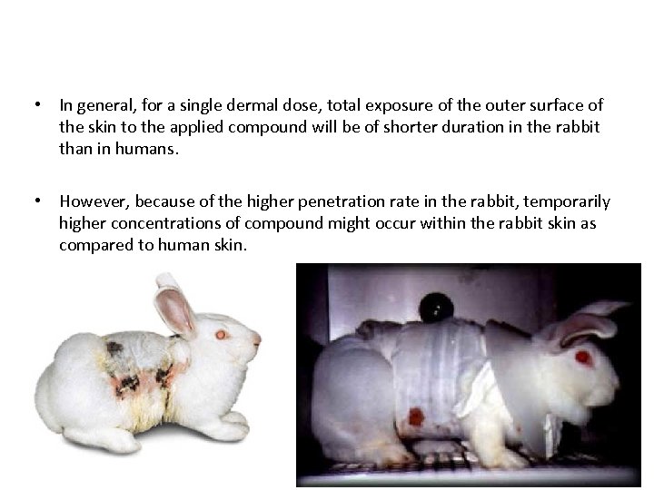  • In general, for a single dermal dose, total exposure of the outer