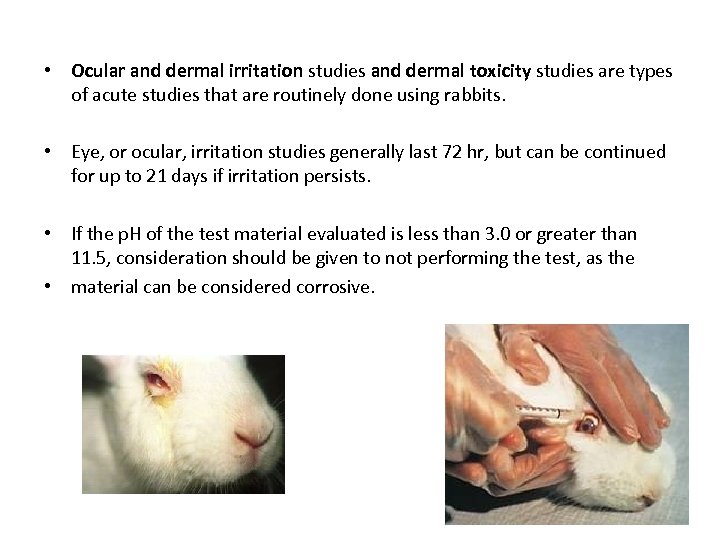  • Ocular and dermal irritation studies and dermal toxicity studies are types of