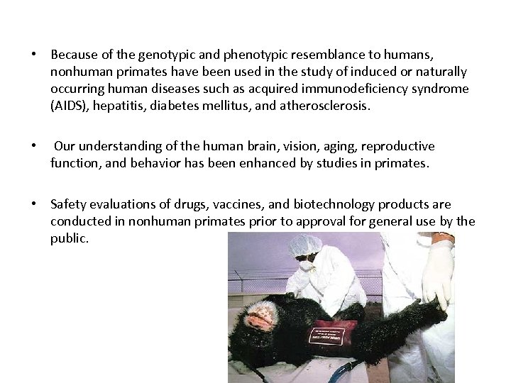  • Because of the genotypic and phenotypic resemblance to humans, nonhuman primates have