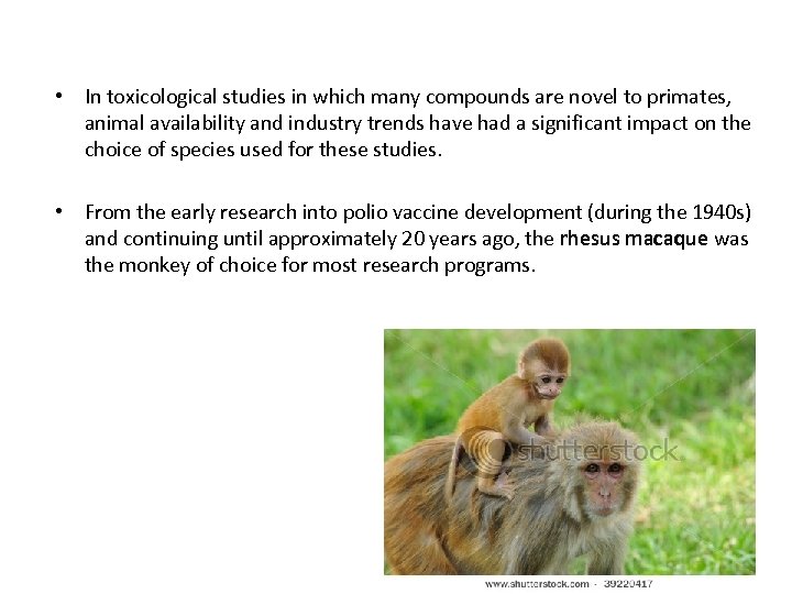  • In toxicological studies in which many compounds are novel to primates, animal