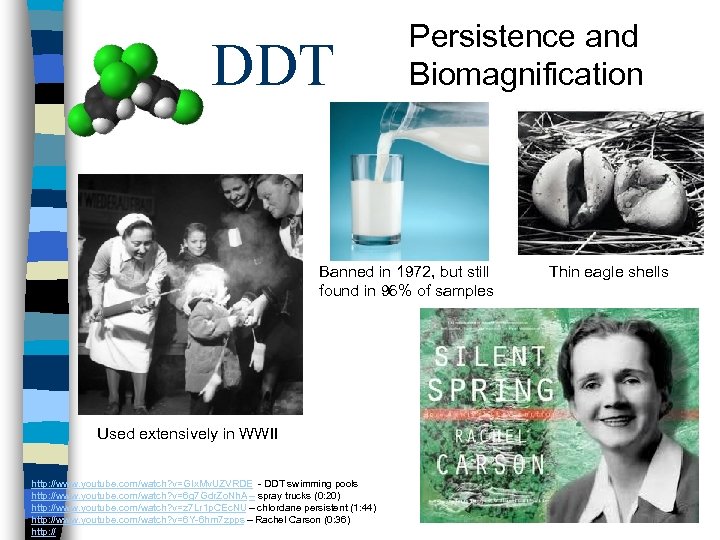 DDT Persistence and Biomagnification Banned in 1972, but still found in 96% of samples