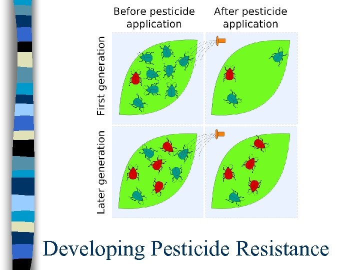 Developing Pesticide Resistance 