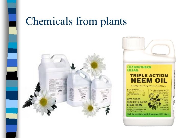 Chemicals from plants 