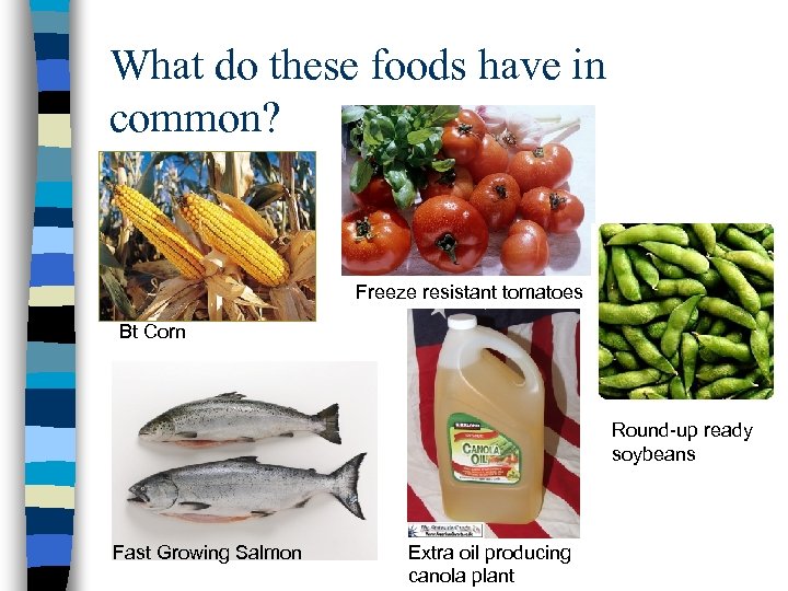 What do these foods have in common? Freeze resistant tomatoes Bt Corn Round-up ready