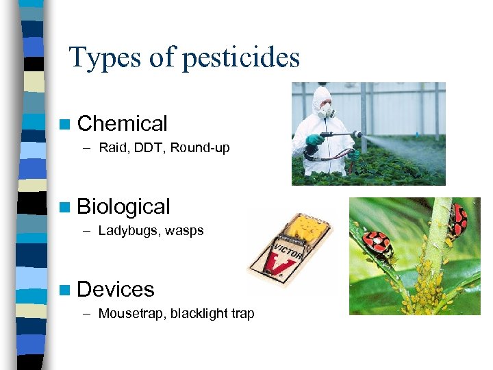 Types of pesticides n Chemical – Raid, DDT, Round-up n Biological – Ladybugs, wasps