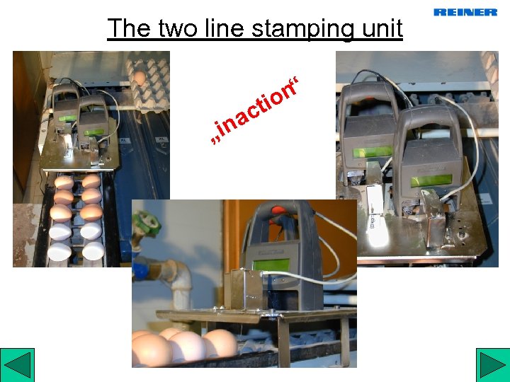 The two line stamping unit „in ct a n“ io 