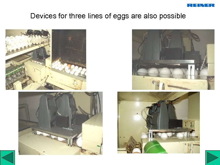 Devices for three lines of eggs are also possible 