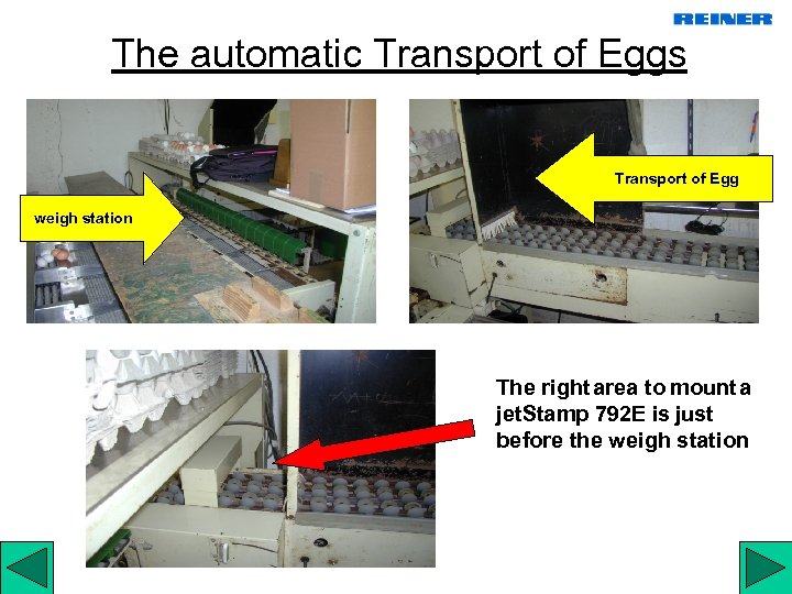 The automatic Transport of Eggs Transport of Egg weigh station The right area to