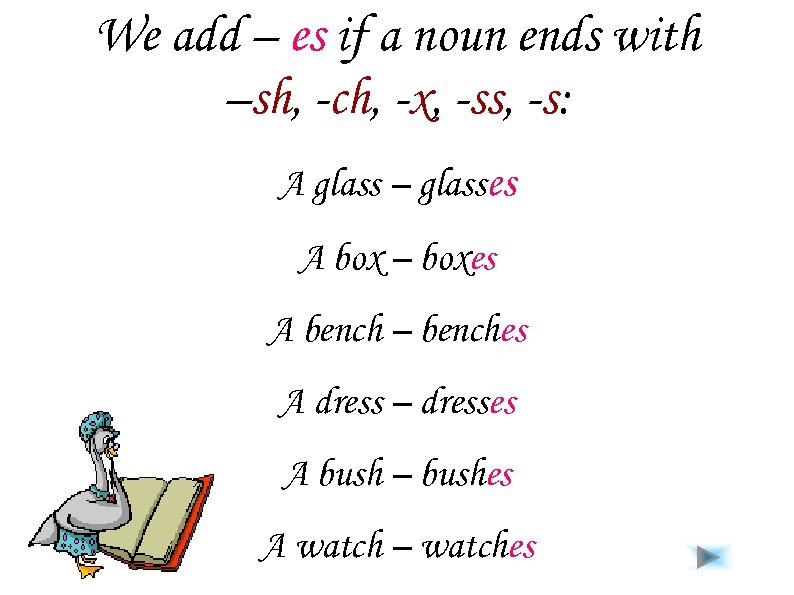 We add – es if a noun ends with –sh, -ch, -x, -ss, -s:
