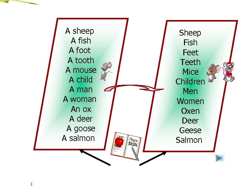 A sheep A fish A foot A tooth A mouse A child A man