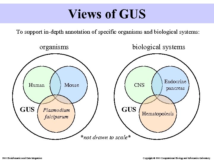Views of GUS To support in-depth annotation of specific organisms and biological systems: organisms