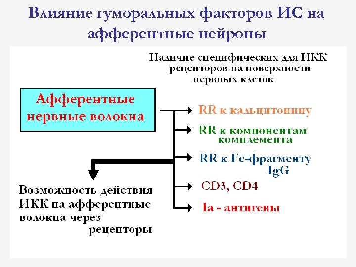 Механизмы интеграции систем. Средства влияющие на афферентную нервную систему фармакология. Гуморальная нервная система. Факторы вляющиеина афыерентный Сиртез. Афферентная стадия гуморальные факторы.