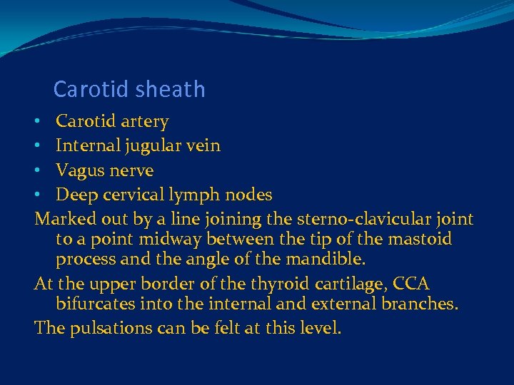 Carotid sheath • Carotid artery • Internal jugular vein • Vagus nerve • Deep