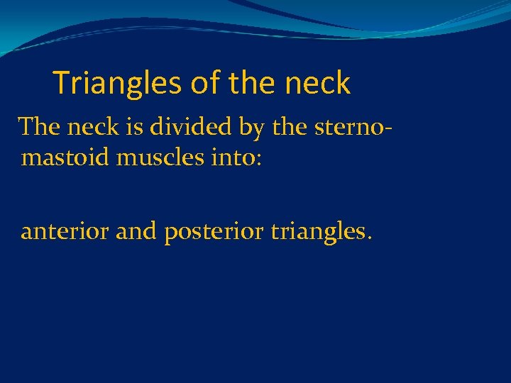 Triangles of the neck The neck is divided by the sternomastoid muscles into: anterior