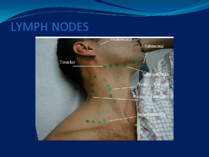 LYMPH NODES 