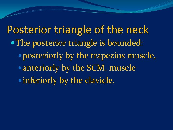 Posterior triangle of the neck The posterior triangle is bounded: posteriorly by the trapezius