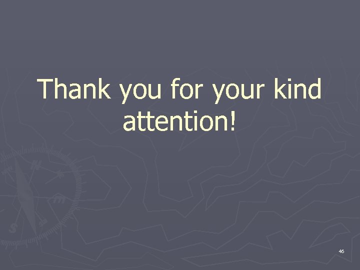 Thank you for your kind attention! 46 