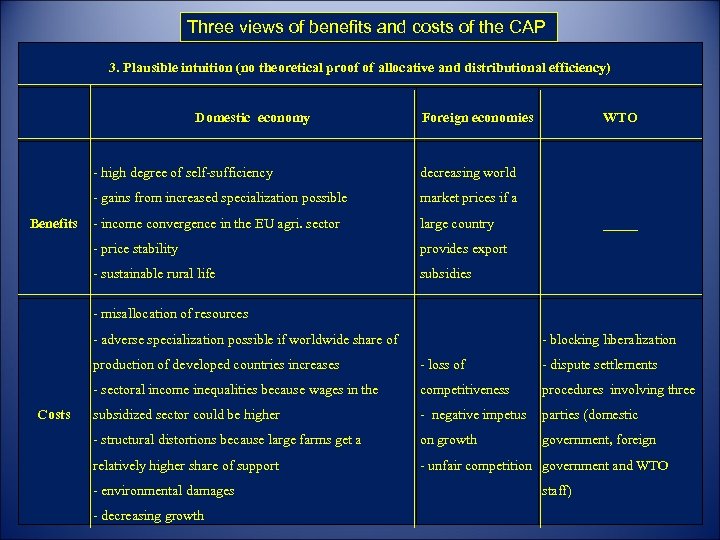 Three views of benefits and costs of the CAP 3. Plausible intuition (no theoretical