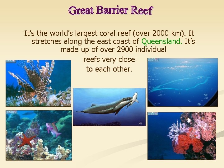 It’s the world’s largest coral reef (over 2000 km). It stretches along the east