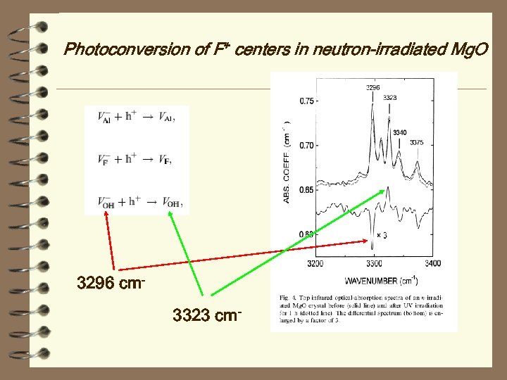 Photoconversion of F+ centers in neutron-irradiated Mg. O 3296 cm 3323 cm- 