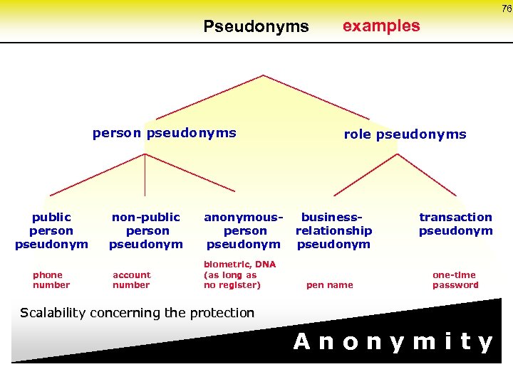 76 Pseudonyms person pseudonyms public person pseudonym phone number non-public person pseudonym account number