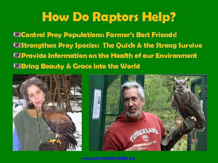 How Do Raptors Help? Control Prey Populations: Farmer’s Best Friends! Strengthen Prey Species: The