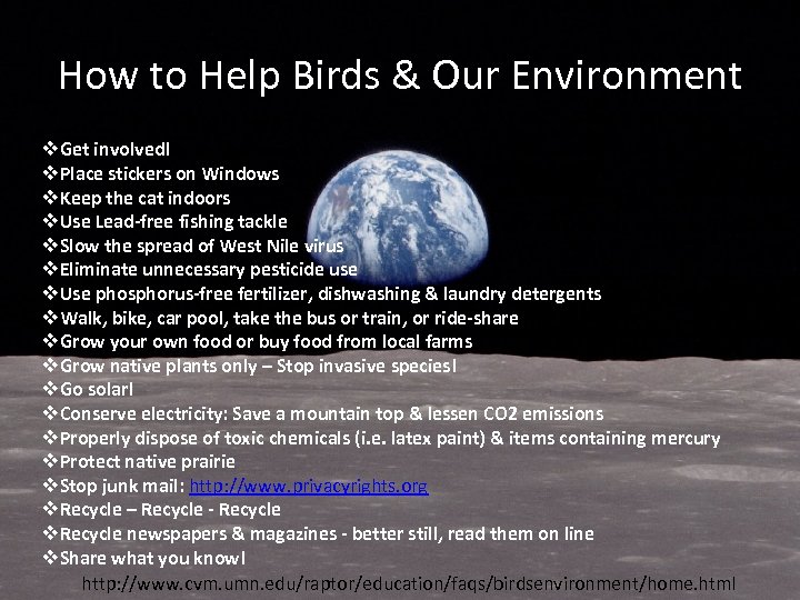 How to Help Birds & Our Environment v. Get involved! v. Place stickers on