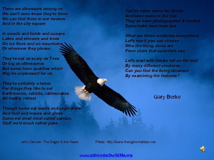 There are dinosaurs among us We don't even know they're there We can find