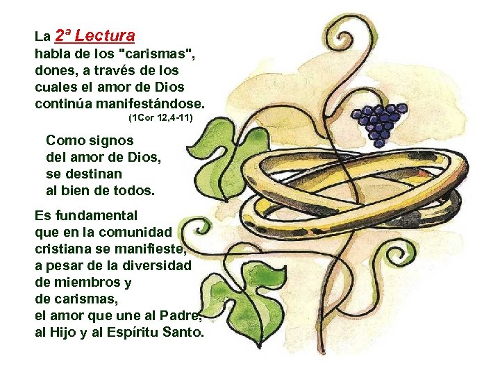 La 2ª Lectura habla de los 