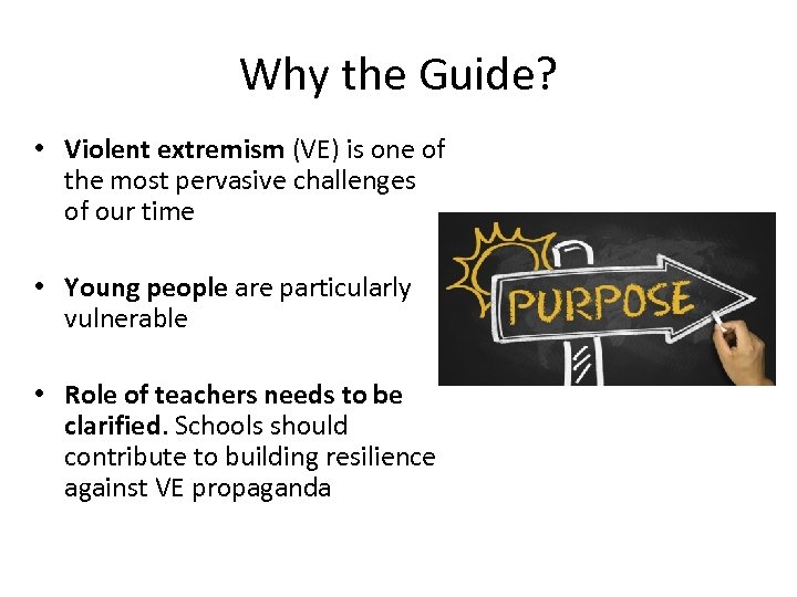 Why the Guide? • Violent extremism (VE) is one of the most pervasive challenges