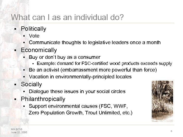 What can I as an individual do? § Politically Vote § Communicate thoughts to
