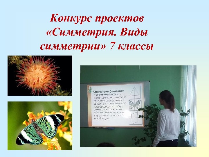 Конкурс проектов «Симметрия. Виды симметрии» 7 классы 