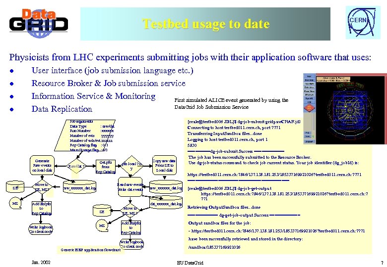 Testbed usage to date CERN Physicists from LHC experiments submitting jobs with their application