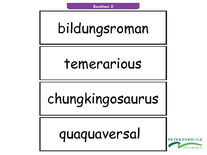 bildungsroman temerarious chungkingosaurus quaquaversal 
