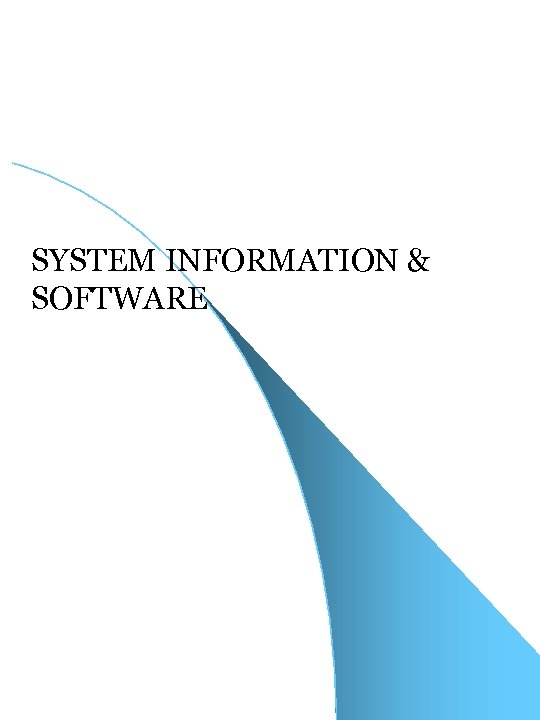 SYSTEM INFORMATION & SOFTWARE 