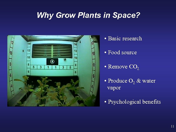 Why Grow Plants in Space? • Basic research • Food source • Remove CO