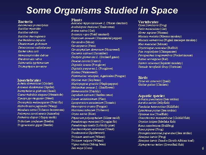 Some Organisms Studied in Space Bacteria Aeromonas proteolytica Bacillus mycoides Bacillus subtilis Bacillus thuringiensis