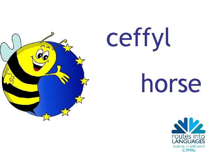 ceffyl horse 